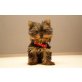 Yorkshire Terrier Welpen - Hündin