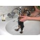 Yorkshire Terrier Welpen - Rüde