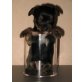 ---, Yorkshire Terrier Welpen - Rüde