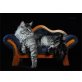 Zeuss, Maine Coon - Kater