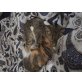 Zoey & Ivy, Hauskatze  - Katze