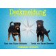 Zuchtstätte von der Pannonia, Rottweiler - Hündin