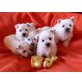 Zuckersüße Eisbären, West Highland White Terrier Welpen - Rüde