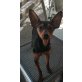 Zwergpinscher - Rüde