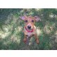 Zwergpinscher Welpen - Hündin