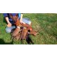 Zwergpinscher Welpen - Rüde