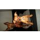 Zwergpinscher Welpen - Rüde