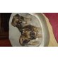 babys, Chihuahua Pekinese Welpen - Rüde