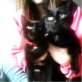 blacky,micky,touddles, Europäische Kurzhaarkatze - Katze