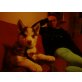 chika, sibirischer Husky Welpen - Hündin
