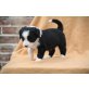 diverse, Berner Sennhund-Labrador-Mix Welpen - Rüde