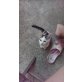 gratis - Kater
