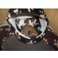 mala, chihuahua-mix Welpen - Hündin