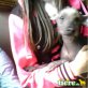 pinouna, nackthund chihuahua - Rüde