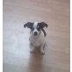 sammy, chihuahua-dackel - Rüde