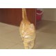 schmusemaus sucht Sofa - Katze