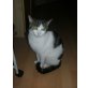 sussi , Deutsch Langhaar - Katze