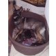 von der schwertfellnerfarm, Deutscher Schäferhund Welpen - Rüde