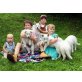 weiße Eisbärbabies, Weißer Schweizer Schäferhund Welpen - Rüde