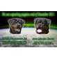 www.rottweilervonderpannonia.com, Rottweiler - Rüde