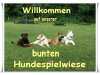 Aengy`s Hundespielwiese