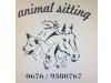 Animal Sitting