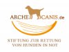 Arche Canis