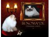 BENOMA*DE