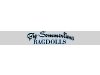 Big-Sommerlions
