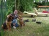 Bloodhounds-Vom-Rhönpaulus