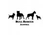 Bull Rescue Austria