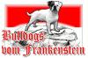 Bulldogs vom Frankenstein