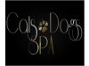 Cats & Dogs Spa