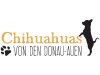 Chihuahuas von den Donau-Auen