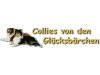 Collies von den Glücksbärchen