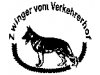 DSH Zwinger vom Verkehrerhof