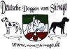 Deutsche Doggen vom Shivago VDH/DDC
