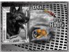 Deutsche Schäferhund von Hause