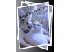 Devon rex Royal Devons