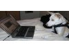 Die Online Hundeakademie