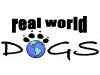 Die mobile Hundeschule - Real World Dogs