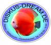 Diskus-Dream