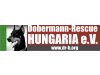 Dobermann-Rescue HUNGARIA e.V.
