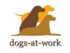 Dogs-at-work