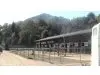 Durbach Ranch