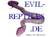 Evil-Reptiles.de