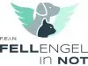 Fellengel in Not