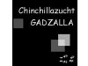 GADZALLA Chinchillazucht & Tierbedarf