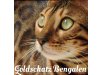 Goldschatz