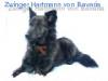 Hartmann von Bavaria